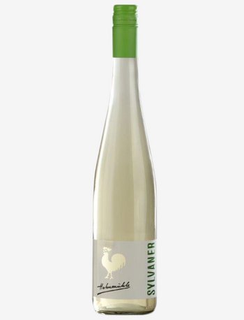 Produktfoto: 2023er Sylvaner