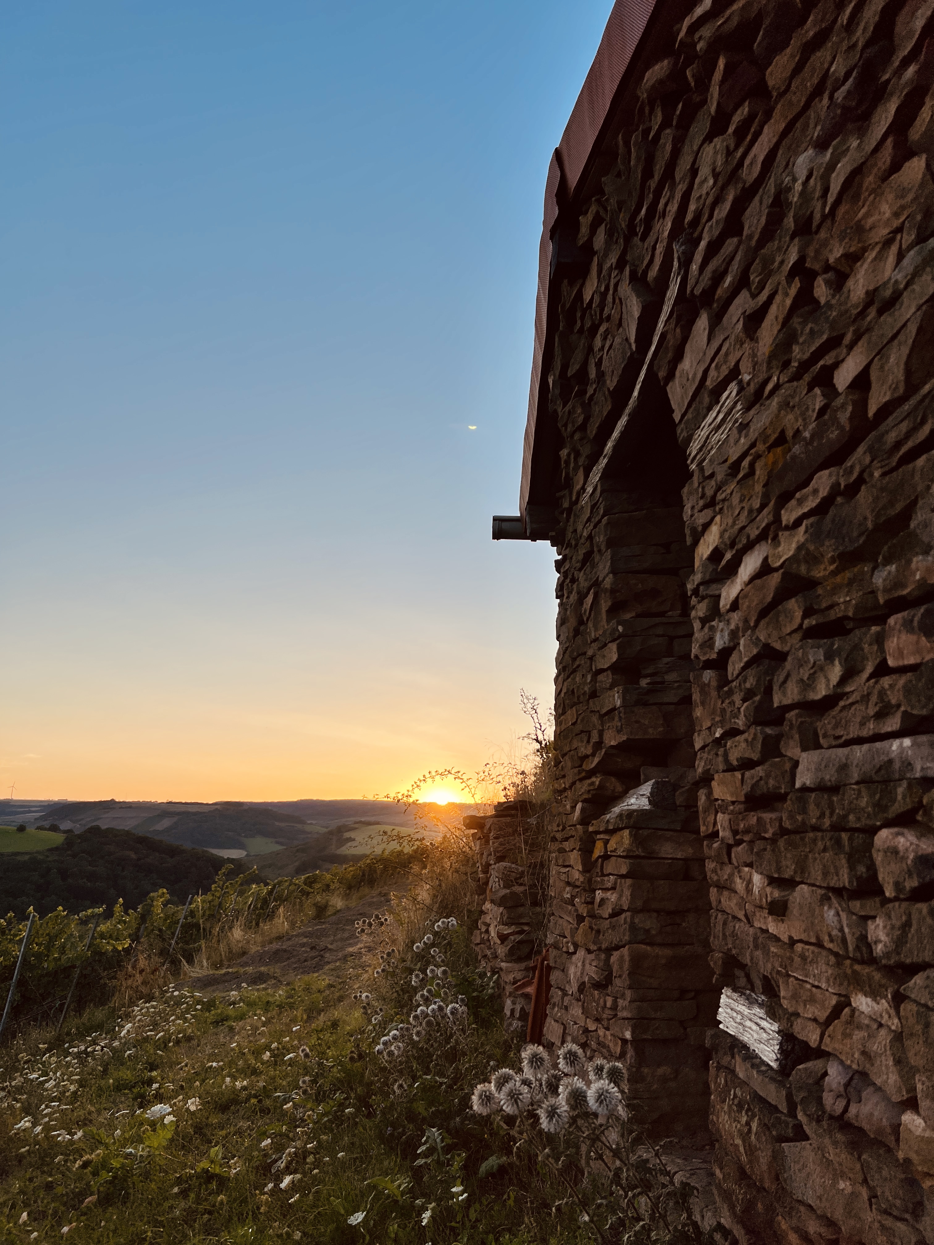Produktfoto: Riesling-Paket