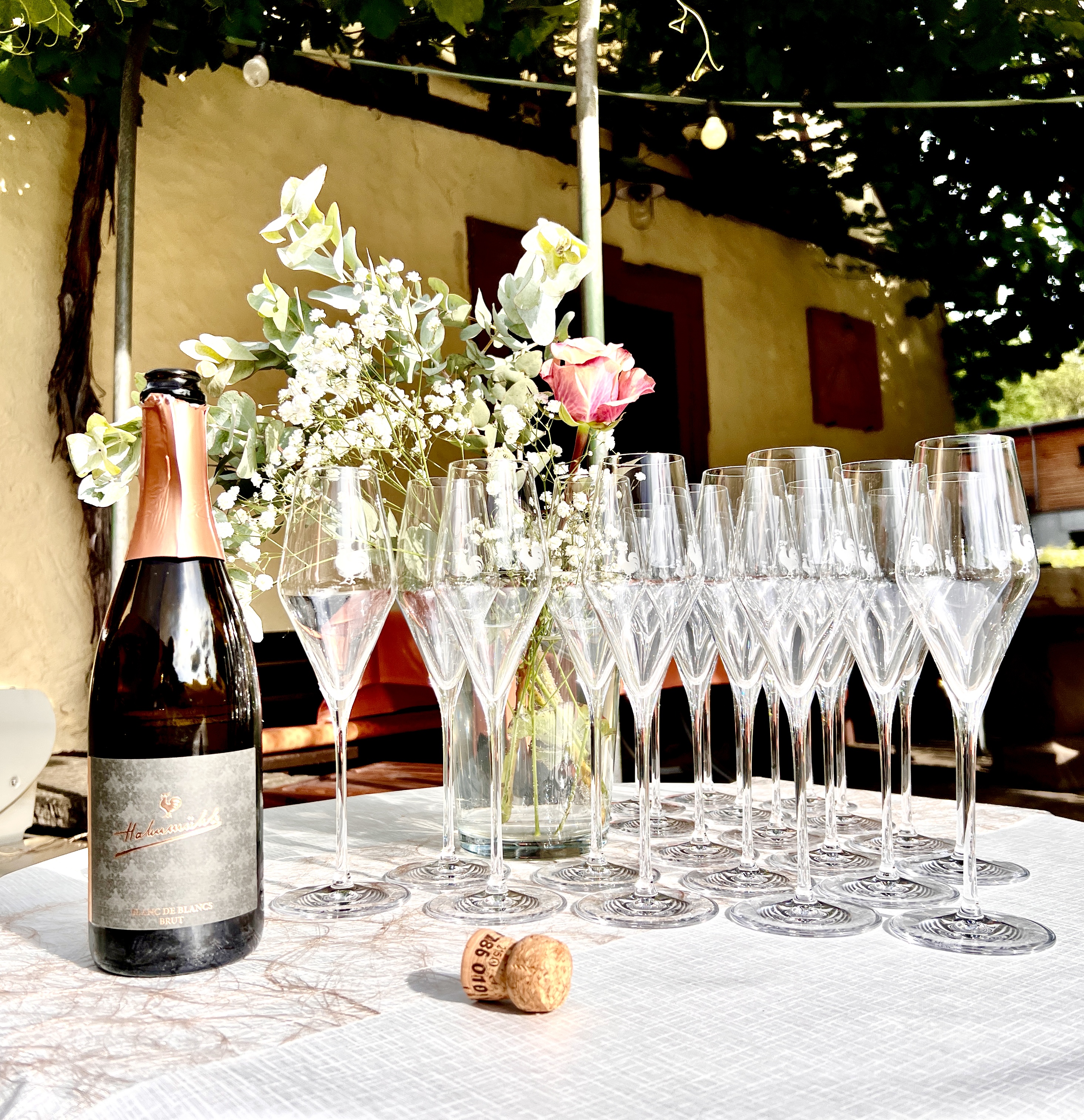 Produktfoto: "Sekt-Paket"