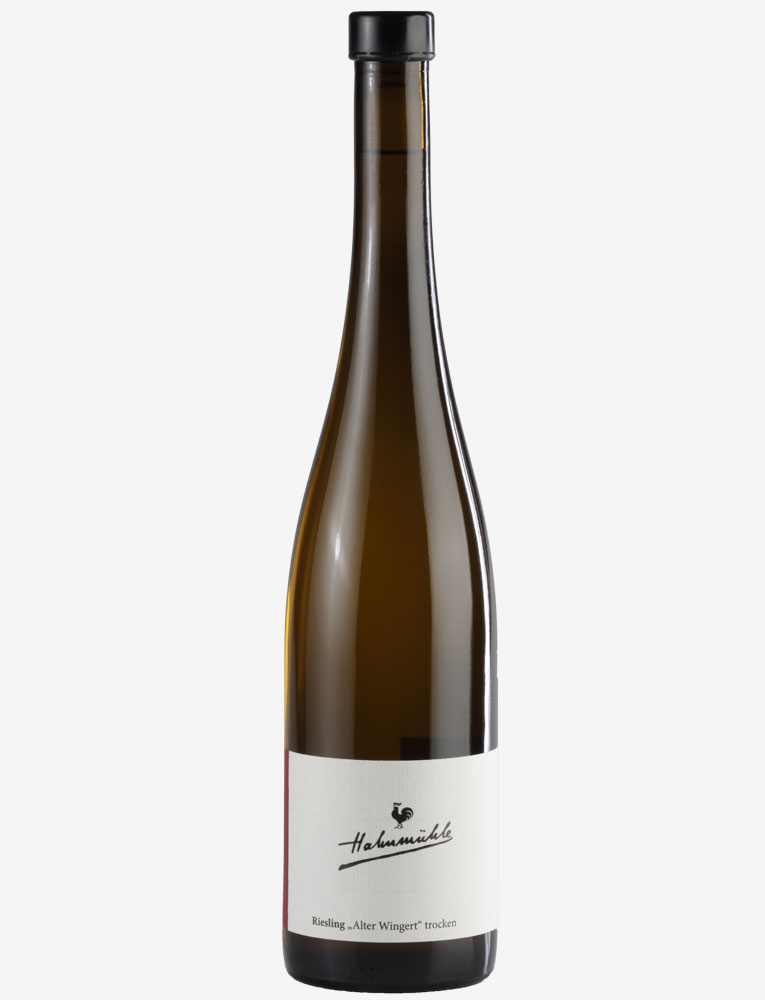 Produktfoto: 2019er Riesling "Alter Wingert"