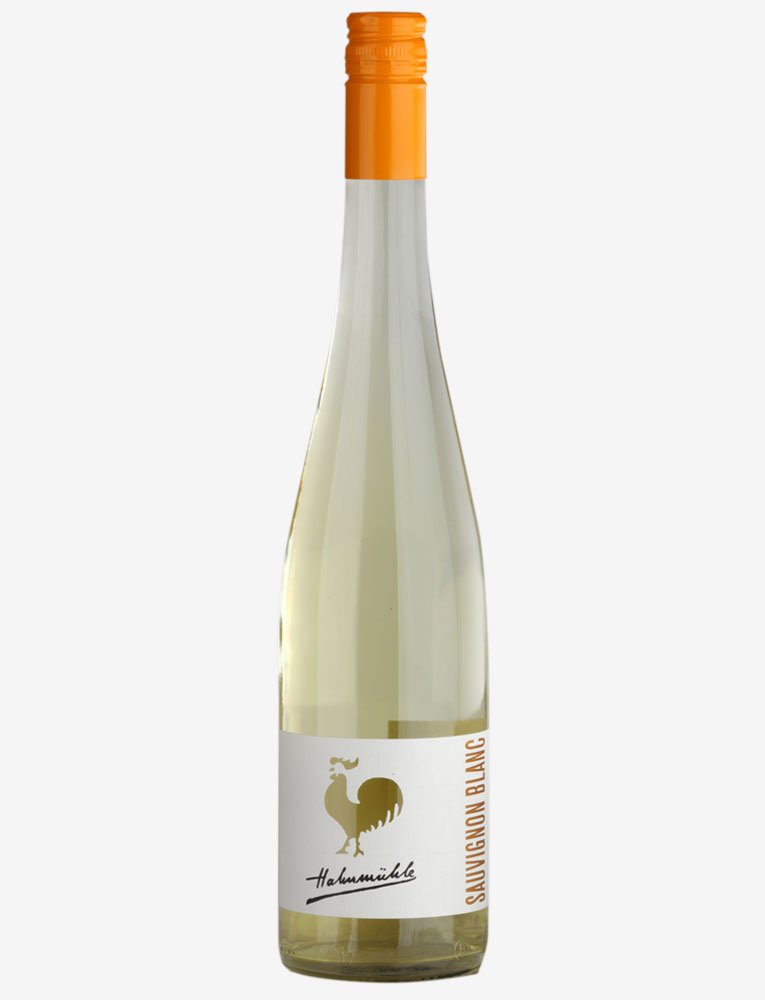 Produktfoto: 2023er Sauvignon Blanc